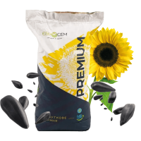 Насіння соняшника гібрид Старк 7+ Сумо, преміум