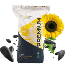 Насіння соняшника гібрид Старк 7+ Сумо, Сербія