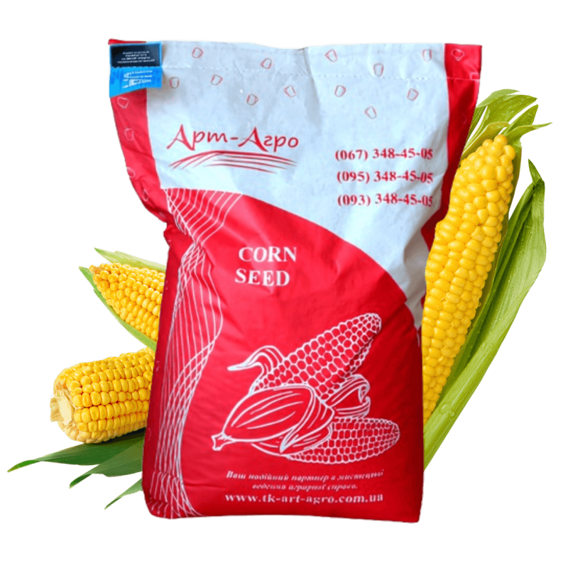 Насіння кукурудзи гібрид АРЛЕН ФАО 300, Україна фото