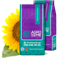 Насіння соняшнику гібрид НС Х 6045