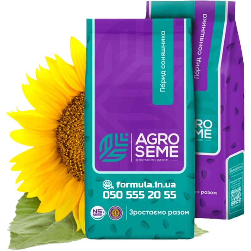 Насіння соняшнику гібрид НС Х 6045 фото