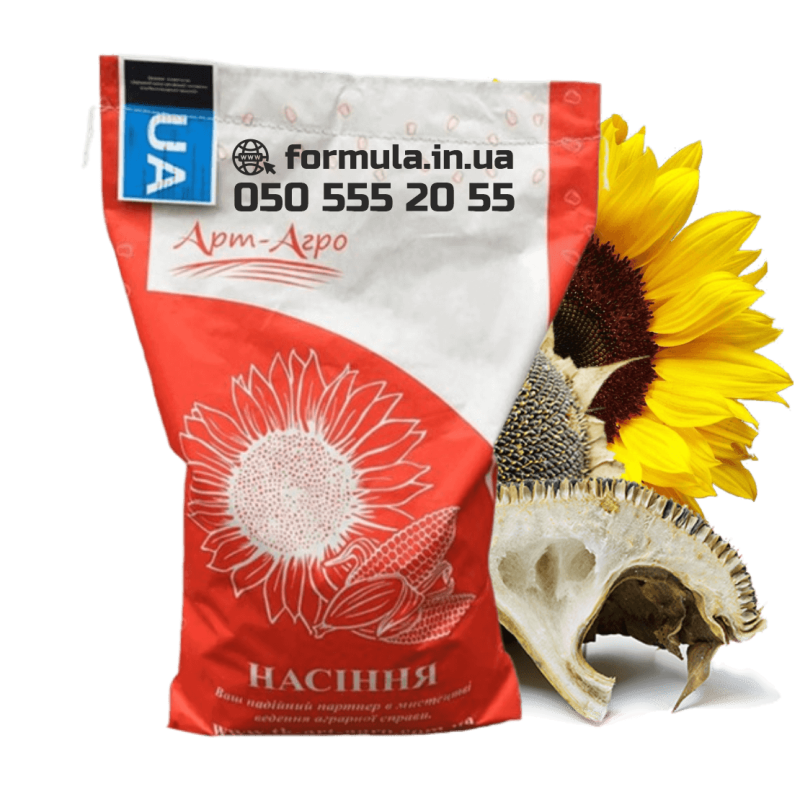 Насіння соняшнику гібрид Флоріан, Україна фото