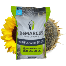 Насіння соняшнику гібрид КОББІ під гранстар, Україна