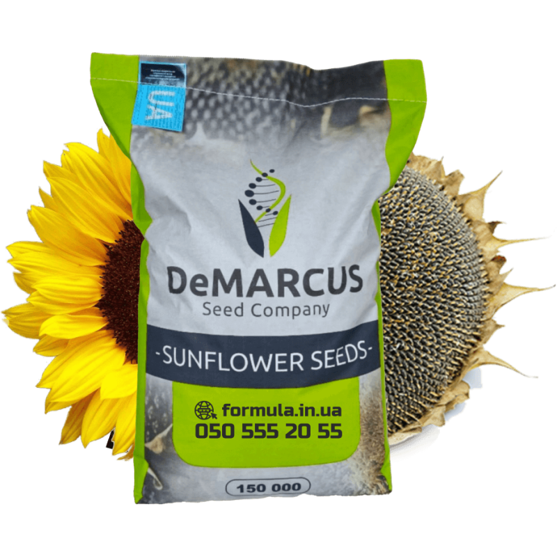 Насіння соняшнику гібрид КОББІ під гранстар, Україна фото