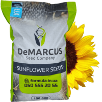 Насіння соняшника гібрид БАСТЕН під євро-лайтнінг