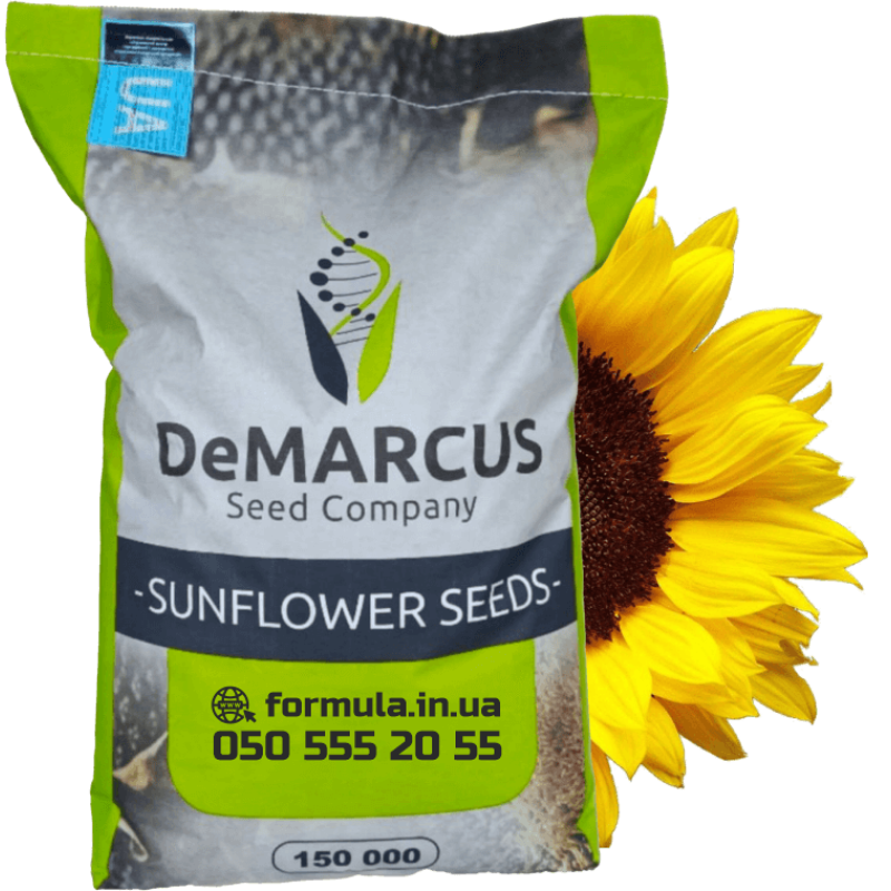 Насіння соняшника гібрид БАСТЕН під євро-лайтнінг фото