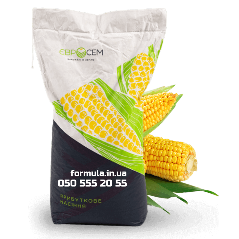Насіння кукурудзи гібрид АМІГО фото