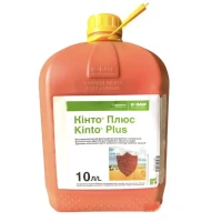 Кінто Плюс-10л