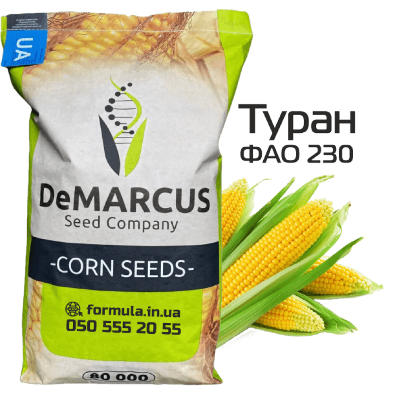 Насіння кукурудзи гібрид ТУРАН ФАО 230, Україна фото