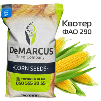 Насіння кукурудзи гібрид КВОТЕР ФАО 290, Україна