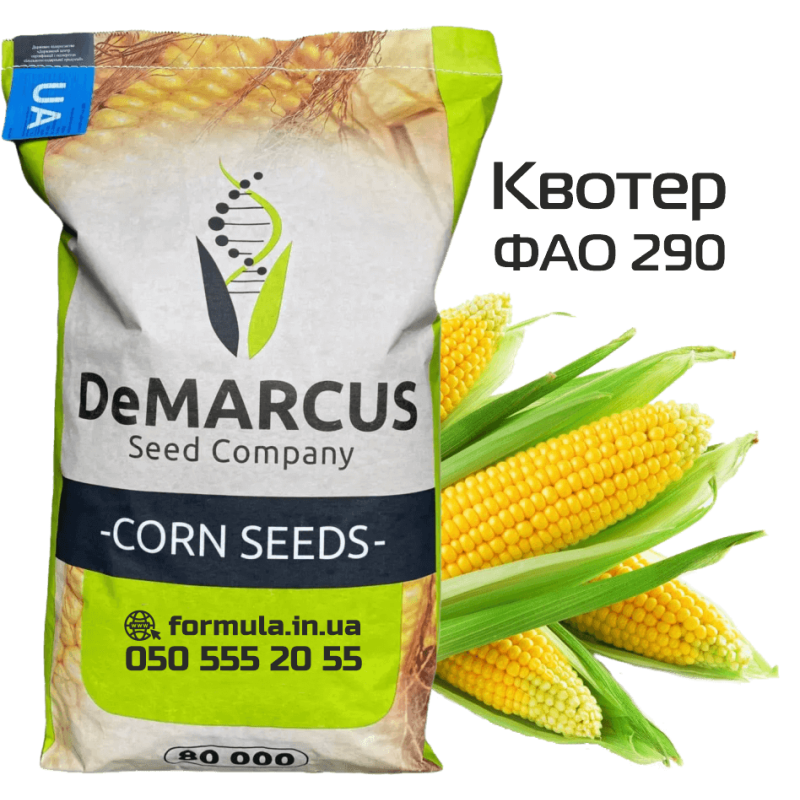 Насіння кукурудзи гібрид КВОТЕР ФАО 290, Україна фото