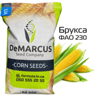 Насіння кукурудзи гібрид БРУКСА ФАО 250, Україна