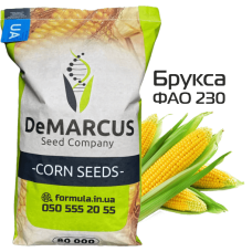 Насіння кукурудзи гібрид БРУКСА ФАО 250, Україна