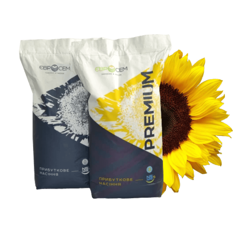 Насіння соняшника Аркона (NS VLSP), під гранстар-преміум(2025) фото
