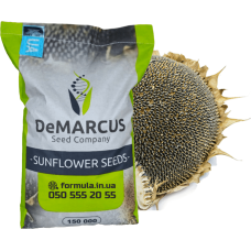 Насіння соняшника гібрид БРІАНА під євро-лайтнінг