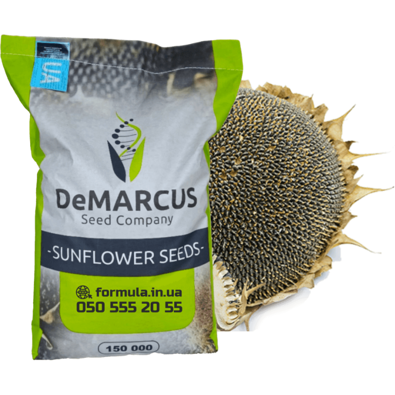 Насіння соняшника гібрид БРІАНА під євро-лайтнінг фото