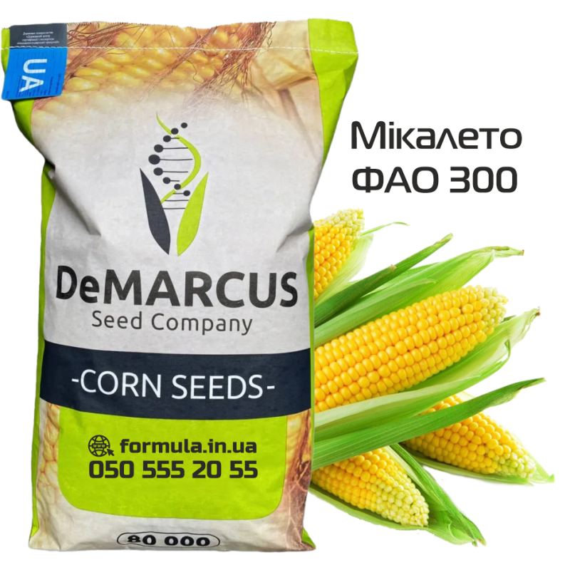 Насіння кукурудзи гібрид Мікалето ФАО 300, Україна фото