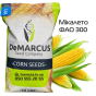 Насіння кукурудзи гібрид МІКАЛЕТО ФАО 300, Україна