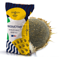 Насіння соняшника S - PRO 511 Євросейм