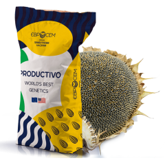 Насіння соняшника S - PRO 511 Євросейм