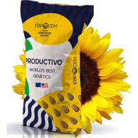 Насіння соняшника IS-Pro 521 Євросейм