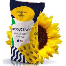 Насіння соняшника IS-Pro 521 Євросейм