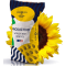 Насіння соняшника IS-Pro 521 Євросейм