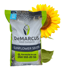 Насіння соняшника гібрид БАЛІ класичний