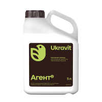 Агент (Пріма)