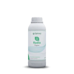 Радікс (розлив)