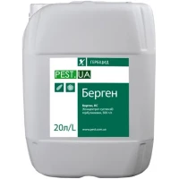 Берген - 20л