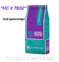 Насіння соняшнику гібрид 'HC X 7902' (під гранстар) — фракція стандарт