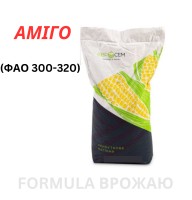 Насіння кукурудзи гібрид Аміго(ФАО 300 - 320)