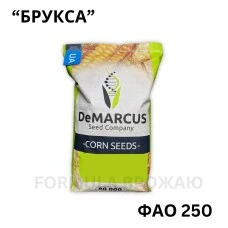 Насіння кукурудзи гібрид Брукса (ФАО 250)Україна