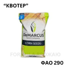 Насіння кукурудзи гібрид Квотер (ФАО 290) Україна