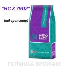 Насіння соняшнику гібрид 'HC X 7902' (під гранстар) — фракція стандарт