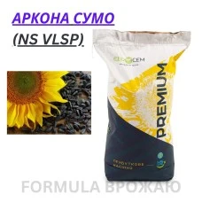 Насіння соняшника Аркона СУМО(NS VLSP), під гранстар-фракція екстра