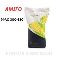 Насіння кукурудзи гібрид Аміго(ФАО 300 - 320)