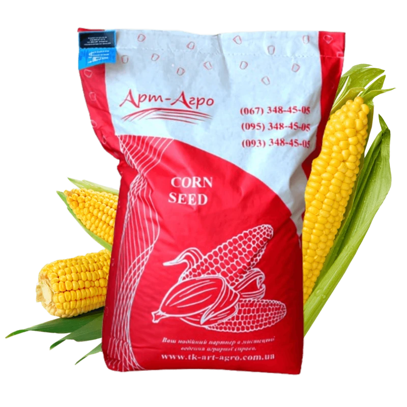 Гібрид кукурудзи АНДРЕС ФАО 350, Україна фото