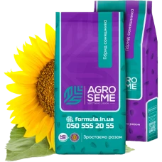 Насіння соняшнику гібрид НС Х 6045