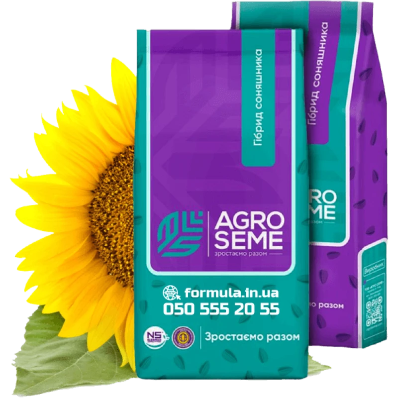 Насіння соняшнику гібрид НС Х 6749 під гранстар фото