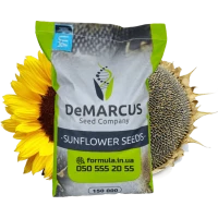 Насіння соняшнику гібрид КОББІ під гранстар, екстра