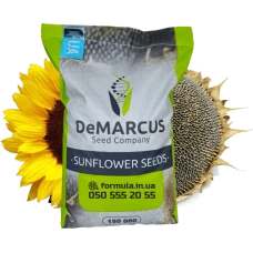 Насіння соняшнику гібрид КОББІ під гранстар, екстра