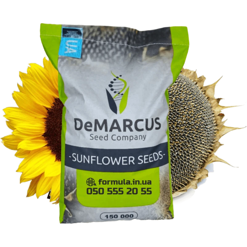 Насіння соняшнику гібрид КОББІ під гранстар, Україна фото