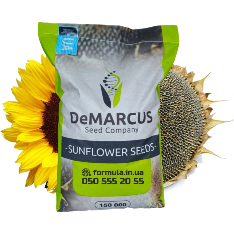 Насіння соняшнику гібрид ФЛОКІ, Україна фото