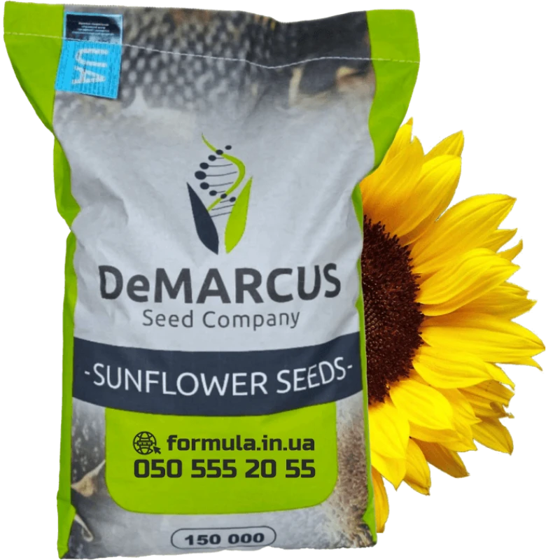 Насіння соняшника гібрид БАСТЕН під євро-лайтнінг фото