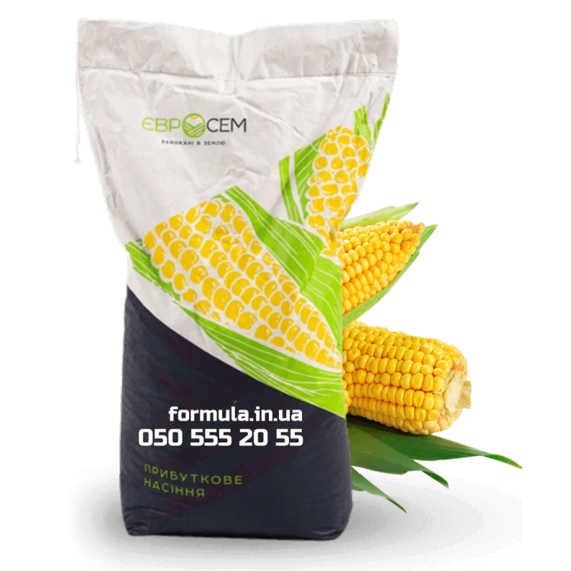 Насіння кукурудзи гібрид АМІГО фото