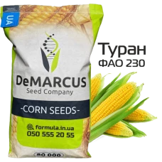 Насіння кукурудзи гібрид ТУРАН ФАО 230, Україна