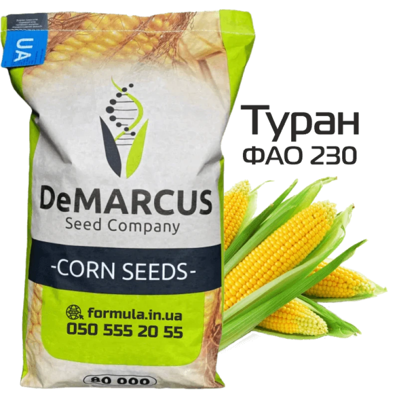 Насіння кукурудзи гібрид ТУРАН ФАО 230, Україна фото