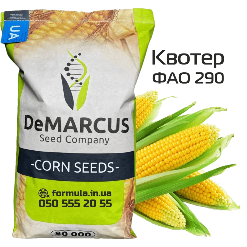 Насіння кукурудзи гібрид КВОТЕР ФАО 290, Україна фото